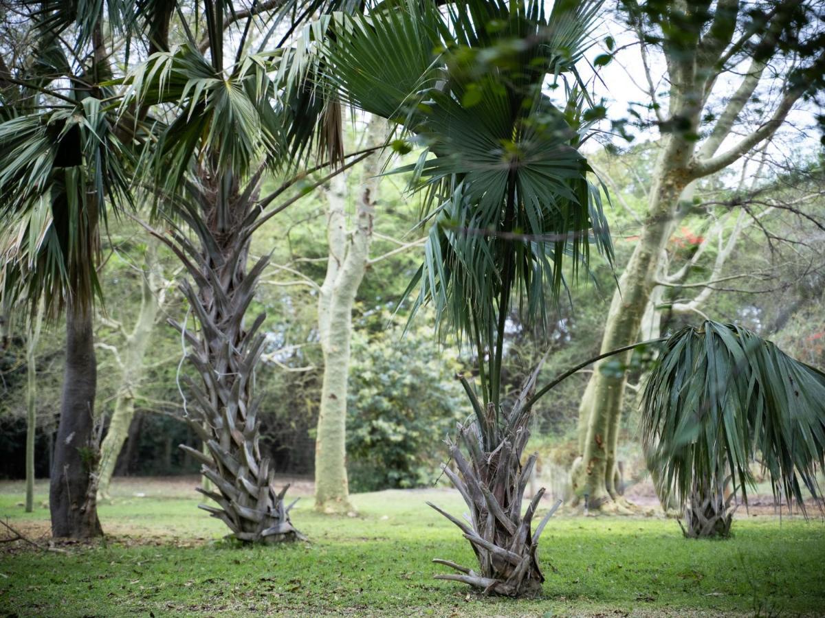 Kruger Eden Lodge マールロス・パーク エクステリア 写真